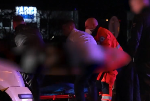 mladik zrazil muza so psom 2