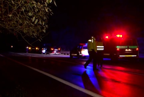 Zrazený medveď6574