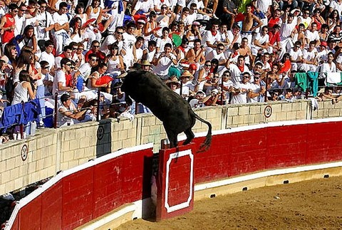 Býk vtrhol na tribúnu 3