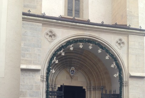 Dominika Cibulková, svadba