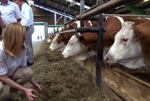 Matečná na Považí. Skontrolovala kozy, žatvu a vychválila podnik637