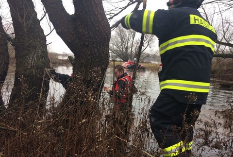 Pátranie po nezvestnej psíčkárke