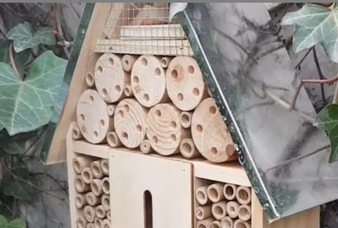 Screenshot_2020-04-08 Peter NAGY ??? Official ( peternagy_music) • Fotky a videá na Instagrame(5)