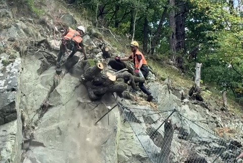 [multi] 090624AYC 4721