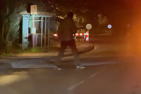 Hľadanie medveďa 2