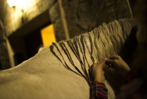 španielsko očisťovanie koní v plameňoch 1