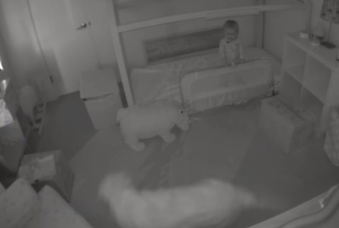 Bábätko, psíci, postieľka