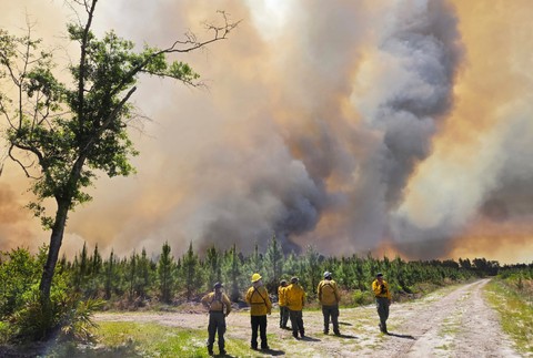 US_Wildfires_72595