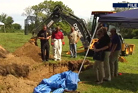 Screenshot 2024-08-29 085534