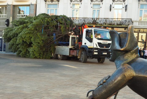 Osadzovanie vianočného stromčeka na Hlavnom námestí v Bratislave