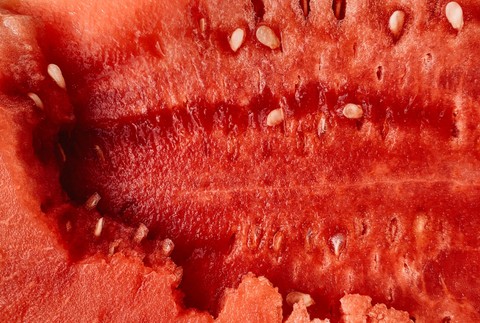 Melon