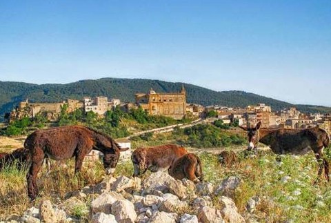 Sambuca 4 weloverealities