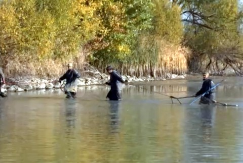 Vianočný kapor už nemusí byť samozrejmosťou. Chovatelia hovoria o najhoršom roku