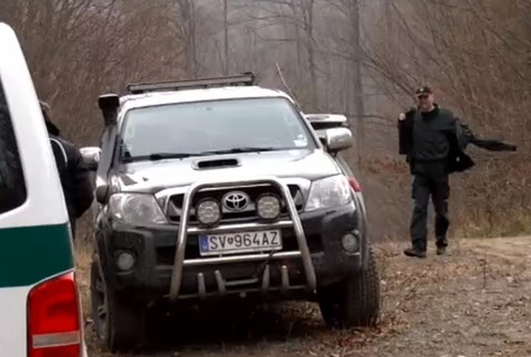 V lese za dedinou našli zastrelenú zubricu. Páchateľovi hrozí väzenie