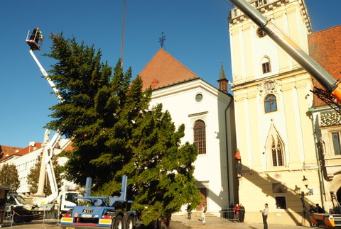 Osadzovanie vianočného stromčeka na Hlavnom námestí v Bratislave