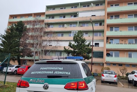 Policajná akcia