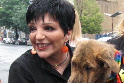 lisa-minnelli