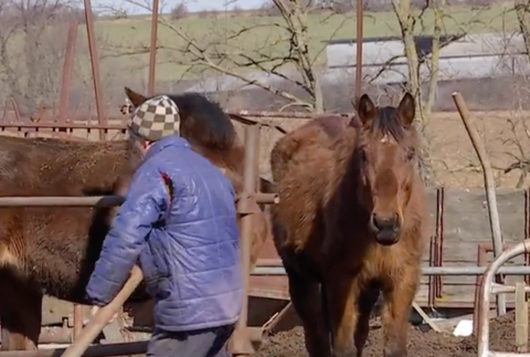 Snímka obrazovky 2019-02-27 o 20.02.58