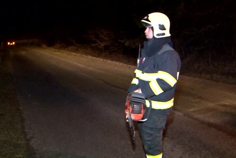 [multi] Šťastie v nešťastí! Na idúce auto pred Malužinou spadli dva hrubé stromy 655
