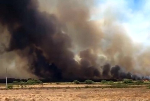 [multi] Požiar na Havaji 1275