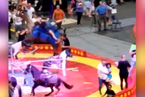 Kopala, hádzala sebou a zranila šesť detí. Počas predstavenia sa splašila ťava