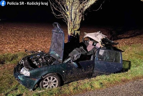 Tragická nehoda na mokrej ceste. Spolujazdec neprežil náraz do stromu