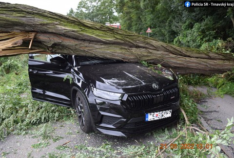 Na auto spadol počas jazdy strom