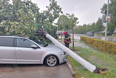 456242920_1148837433384490_3595736856787248665_n