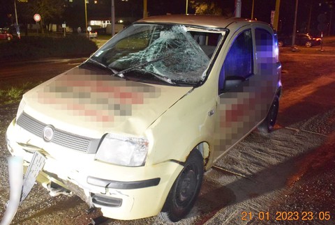 Vodič zrazil chodca na priechode