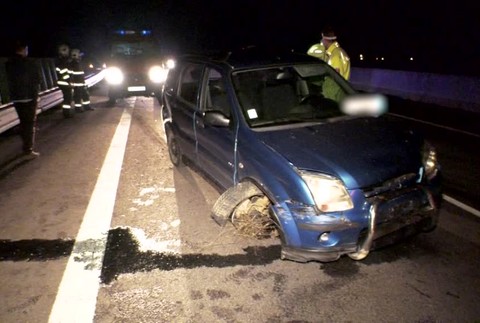 Na R1 vbehol srnec. Vodička strhla volant do zvodidiel