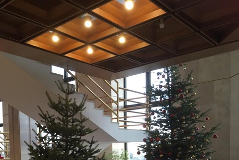 Vianočné stromčeky v parlamente