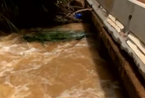 Pri záchrane psa zomrel 