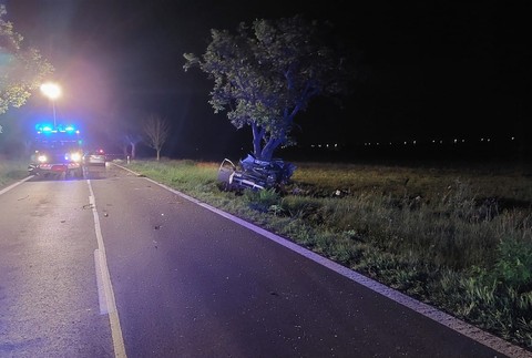 WhatsApp Image 2023-06-10 at 12.55.53