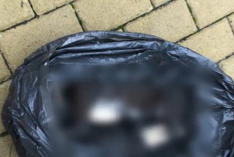 Zvieratá niekto otrávil anestetikom.