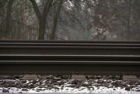 [multi] Týraný psík našiel nový domov 4804