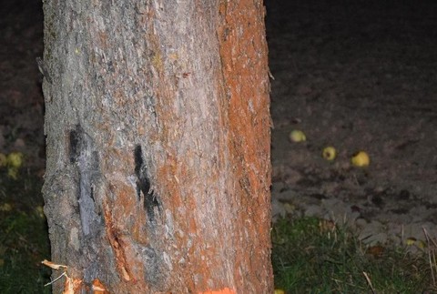 Tragická jazda motorkára. Nezachránila ho ani prilba