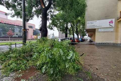 WhatsApp Image 2024-09-13 at 14.13.22