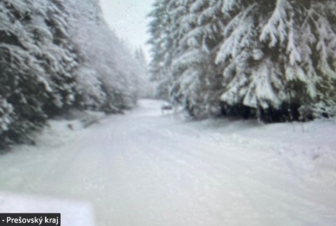 Sneženie pod Tatrami