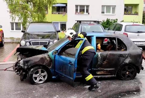 auto 3