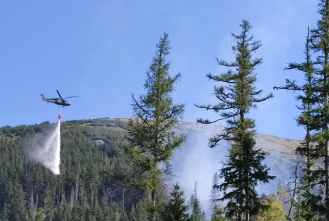 Na Horehroní sa rozhorel les