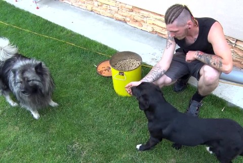 Ulicami Prievidze a túlali tri stratené psy. Nechceli ich zobrať ani do karanténnej stanice