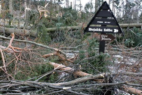 kalamita tatry 18