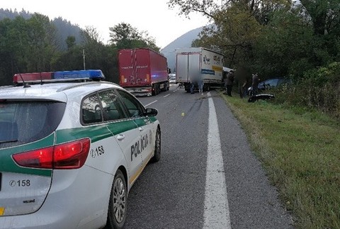 Polícia reguluje dopravu na mieste kolízie medveďa s automobilom