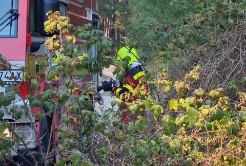 WhatsApp Image 2024-09-04 at 15.21.49