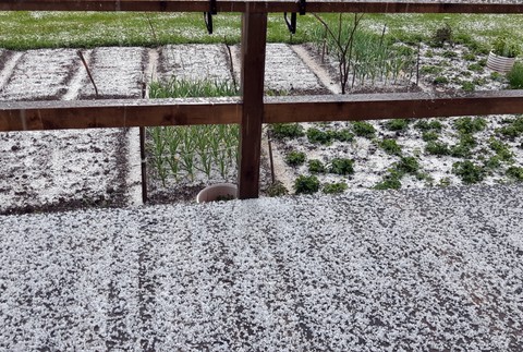 FOTO: Počasie na sever Slovenska prinieslo viac než dážď. Oravice zasiahli krúpy