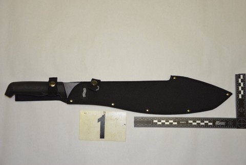 Mačetou zaútočil na matku 