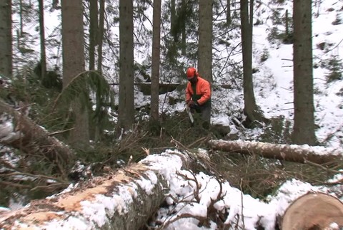 Na Orave po víchrici padli celé lesy. Ostali len holé kopce
