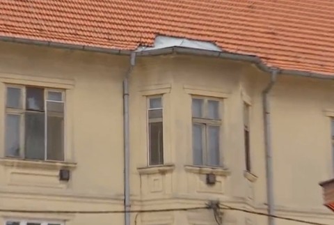 Polícia v Nových Zámkoch rieši výnimočný prípad. Ľudí ohrozujú holuby