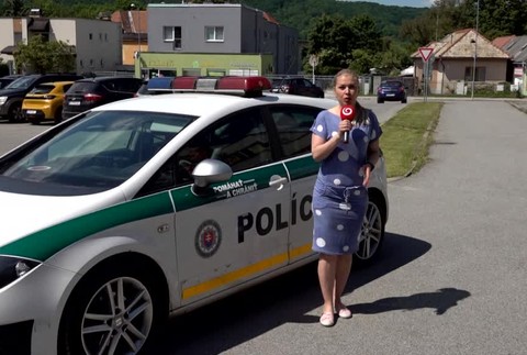 [multi] Vandal na cintoríne 1886