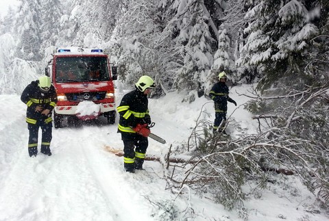 Matúš Gavlák/Popadané stromy na Spiši